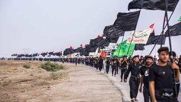 فیلم/ مستند طریق الحسین (ع)
