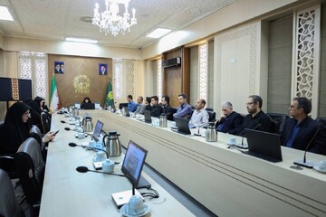 کتاب «قرآن و ترجمه پیکتال؛ نقدی بر یک ترجمه انگلیسی» در حرم رضوی رونمایی شد