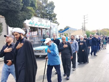 تصاویر / دسته عزاداری رحلت حضرت محمد (ص) و شهادت حضرت امام حسن مجتبی علیه الاسلام در شهرستان آبیک