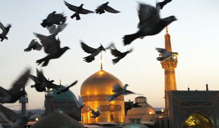 امام رضا(ع) چگونه ولایت امیرالمؤمنین(ع) را رمز نجات امت معرفی می‌کند؟ / واکاوی حدیث قدسی «وَلایةُ علیّ بن أبی‌طالبٍ حِصنی...» در منابع فریقین
