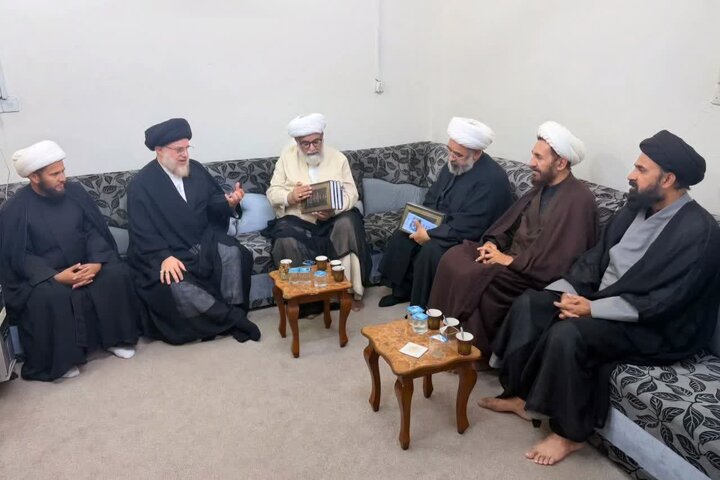آیت اللہ سید حسین الحکیم سے علمائے پاکستان کی ملاقات / اتحادِ امت اور ملتِ اسلامیہ کو درپیش مسائل پر تفصیلی گفتگو