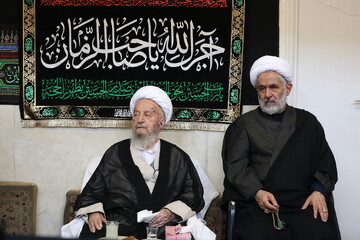 روایت متفاوت دیدار رئیس سازمان بسیج با مراجع و علمای قم / شجره طیبه‌ای که هر روز قد می‌کشد