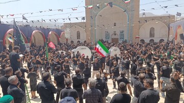 تصاویر/ تجمع هیئات مذهبی در آستان حضرت سلطان علی(ع) در سوگ شهادت امام رضا(ع)