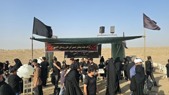 تصاویر/پیاده‌روی «حرم تا حرم» بخش کویرات آران و بیدگل