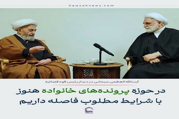 عکس نوشت| حوزه پرونده‌های خانواده هنوز با شرایط مطلوب فاصله داریم