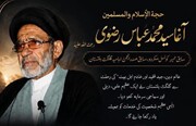 علامہ آغا سید محمد عباس رضویؒ؛حیات علمی و دینی خدمات، ملی و قومی جدوجہد اور عوامی کردار