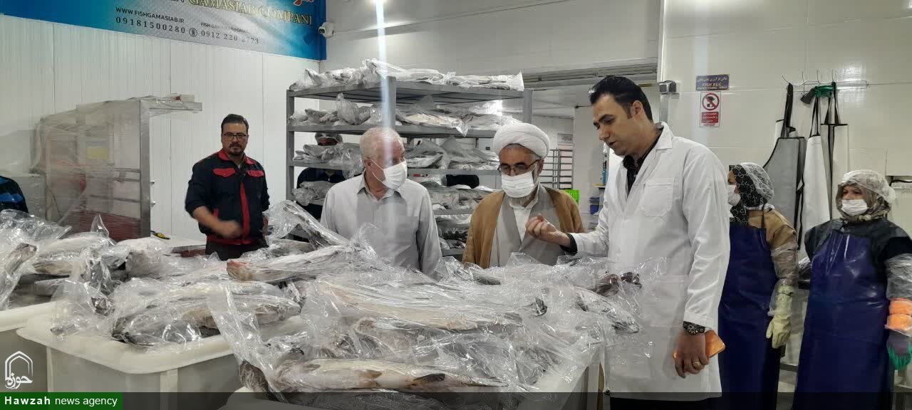 بازدید از مرکز تولیدی