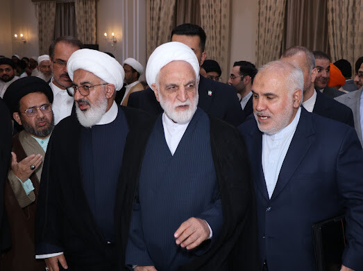 دیدار رئیس قوه قضائیه ایران با علما و رهبران ادیان مختلف هندی در دهلی‌نو