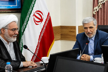 ادبیات علمی زیارت باید جهانی شود