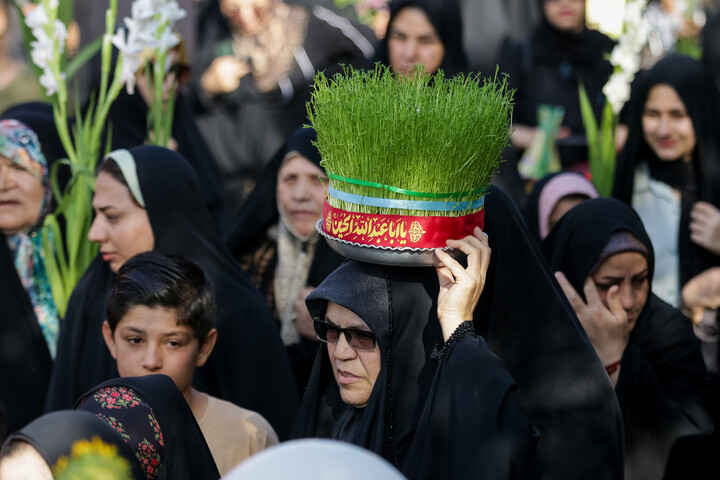 تصاویر/ آیین استقبال ورود کاروان نمادین حضرت فاطمه معصومه سلام‌الله علیها به قم