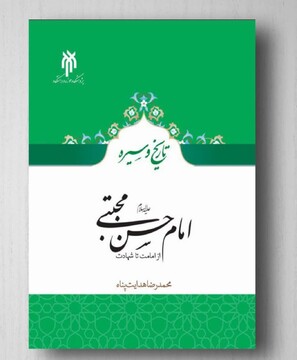 بررسی تاریخی سیره امام حسن مجتبی«ع» در نشست تخصصی پژوهشگاه حوزه و دانشگاه