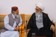 آیت اللہ العظمیٰ حافظ بشیر نجفی سے مفتی راغب حسین نعیمی کی ملاقات / دینی و اسلامی اقدار کے فروغ سمیت مختلف امور پر گفتگو