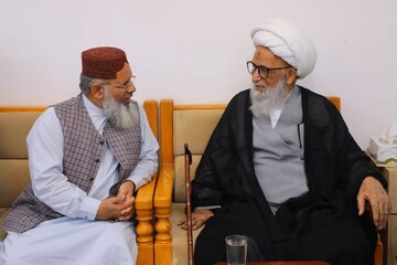 دیدار رئیس شورای ایدئولوژیک اسلامی پاکستان با آیت الله العظمی حافظ بشیر نجفی در نجف اشرف