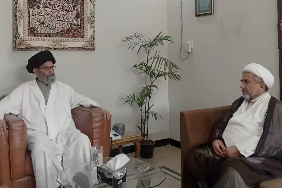 علامہ عارف واحدی کی قائد ملت جعفریہ سے ملاقات / مختلف ملی، مذہبی اور تنظیمی امور پر گفتگو
