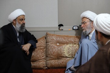 تلفیق تخصص علمی با اخلاق عملی؛ سنگ‌بنای زیست‌ طلبی در نگاه مدیر حوزه‌های علمیه خواهران/ تأکید بر پیوند تخصص و اخلاق؛ راهکار مقابله با آسیب‌های فکری جامعه