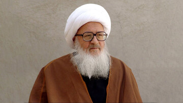 روایت حضرت آیت الله وحید خراسانی از اعتراف علمای اهل سنت به جایگاه رفیع امام صادق(ع)