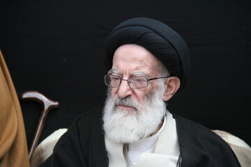 آیت‌الله العظمی شبیری زنجانی