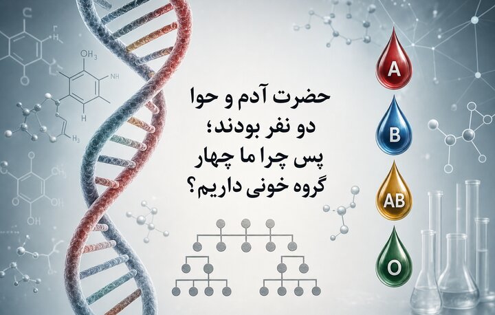 حضرت آدم و حوا دو نفر بودند؛ پس چرا ما چهار گروه خونی داریم؟