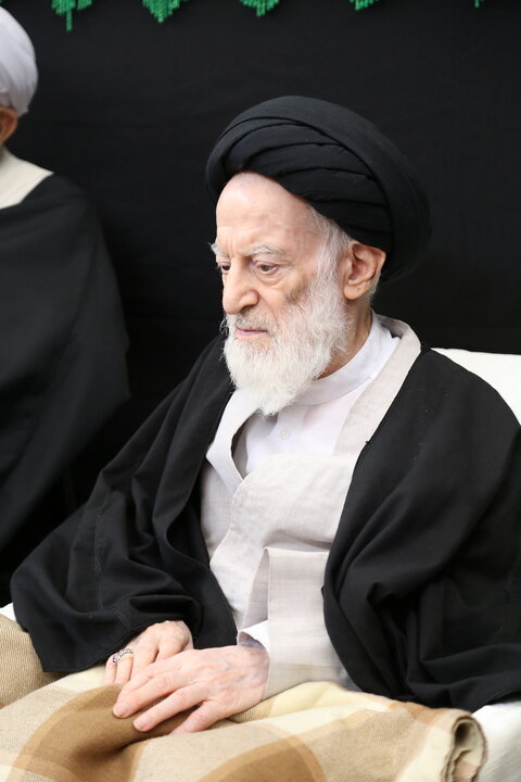 آیت‌الله العظمی شبیری زنجانی