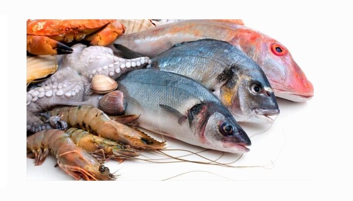 احکام شرعی | گوشت آبزیان دریایی