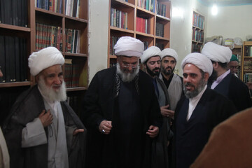 تصاویر/ دیدار مدیر حوزه علمیه بوشهر با آیت الله امامی حجتی
