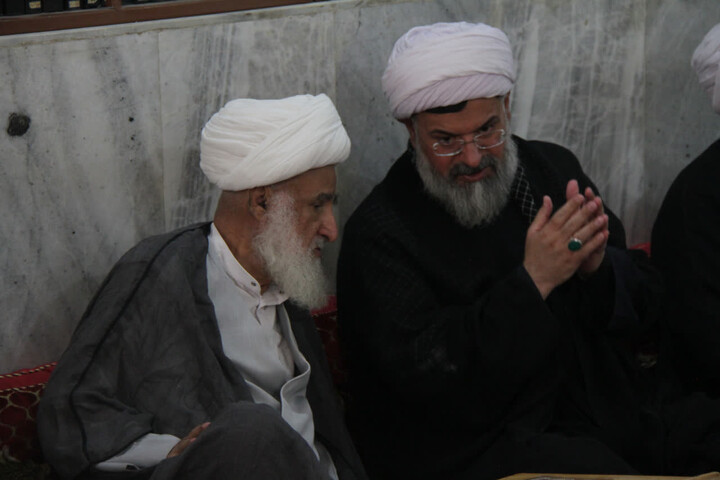 تصاویر/ دیدار مدیر حوزه علمیه بوشهر با آیت الله امامی حجتی