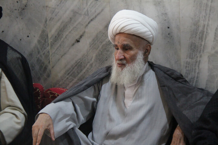 تصاویر/ دیدار مدیر حوزه علمیه بوشهر با آیت الله امامی حجتی