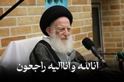آیت الله شبیری زنجانی نے اپنی پوری زندگی علم و فقاہت، تقویٰ و ورع اور خدمتِ دین میں گزاری، مولانا سید رضی حیدر