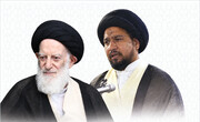 آیت الله شبیری زنجانی کی رحلت، عظیم علمی فقدان: مولانا سید اشرف علی الغروی