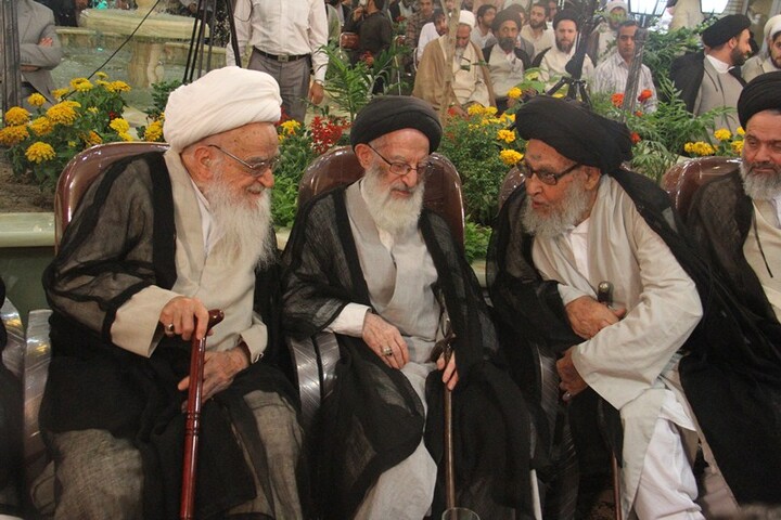 تصاویر آرشیوی از مرحوم آیت‌الله العظمی شبیری زنجانی