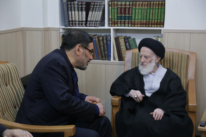 تصاویر آرشیوی از مرحوم آیت‌الله العظمی شبیری زنجانی