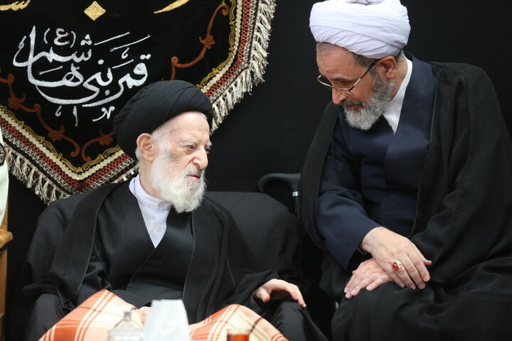 تصاویر آرشیوی از مرحوم آیت‌الله العظمی شبیری زنجانی