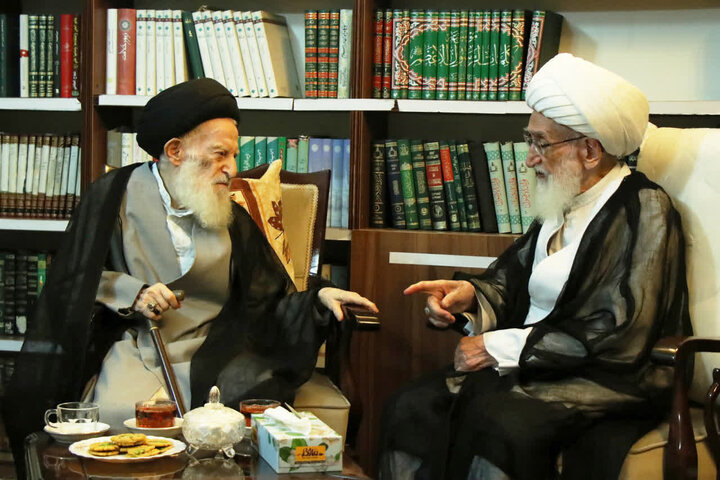 آیت‌الله العظمی شبیری‌زنجانی حقیقتاً در علم و عمل و تقوا کم نظیر بود