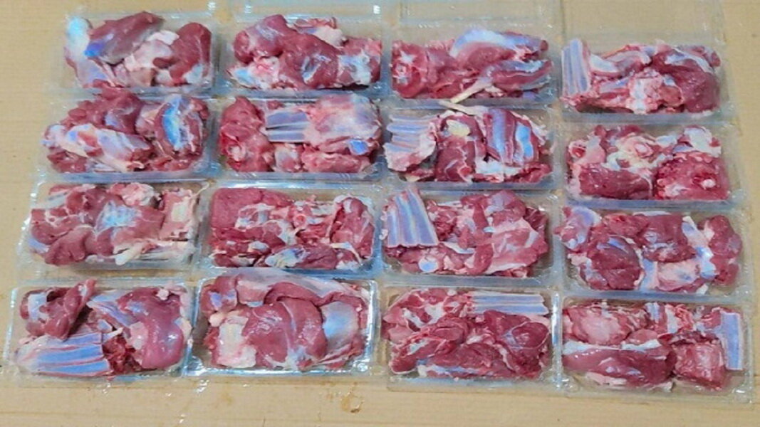 ۱۱۰ بسته گوشت بین خانواده‌های کم‌برخوردار توزیع شد