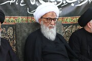 Ayatollah Bashir Najafi Joins Tributes to Ayatollah Shobeiri Zanjani: 'A Deep Void in the Hearts of Believers'