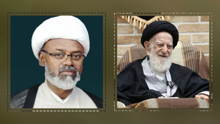 স্মৃতিকথা: পবিত্র মাশহাদে আয়াতুল্লাহ আল-উজমা সৈয়দ মুসা শুবাইরি জাঞ্জানি (রহ.)-এর সাথে সাক্ষাৎ