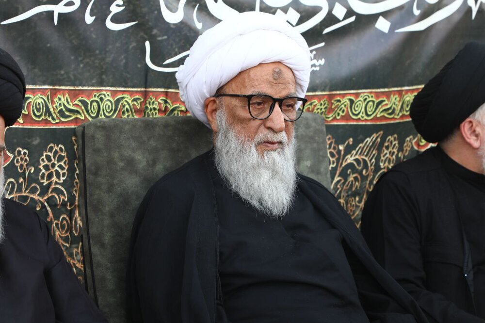 Ayatollah Bashir Najafi Joins Tributes to Ayatollah Shobeiri Zanjani: 'A Deep Void in the Hearts of Believers'