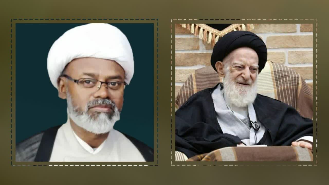 স্মৃতিকথা: পবিত্র মাশহাদে আয়াতুল্লাহ আল-উজমা সৈয়দ মুসা শুবাইরি জাঞ্জানি (রহ.)-এর সাথে সাক্ষাৎ
