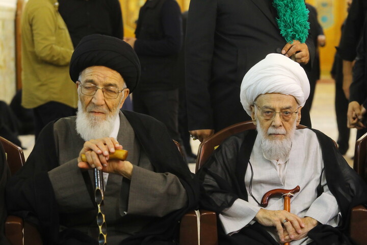 تصاویر / بزرگداشت آیت الله شبیری زنجانی