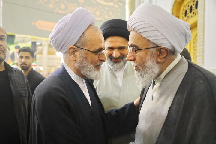 تصاویر / بزرگداشت آیت الله شبیری زنجانی