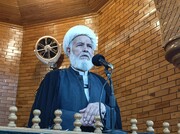 عصرِ غیبت میں جامع الشرائط فقہاء کی رہنمائی سے استفادہ ضروری ہے، علامہ حسن سروری