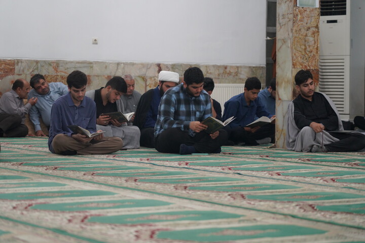 تصاویر/ بزرگداشت آیت‌الله شبیری زنجانی در حوزه علمیه بوشهر