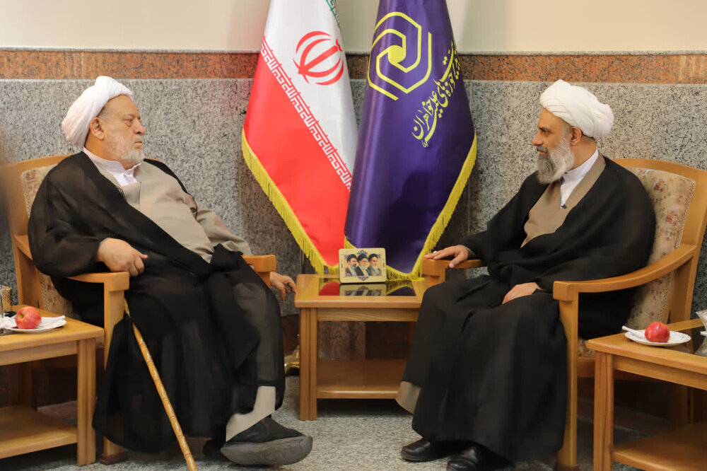 دیدار حجت‌الاسلام والمسلمین انصاریان با مدیر حوزه‌های خواهران؛ از آمار جذب تا الزامات تربیتی+ تصاویر
