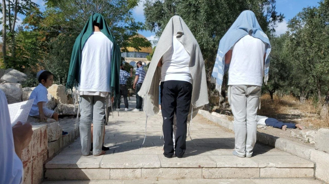 المستوطنون يواصلون اقتحام المسجد الأقصى لليوم السادس على التوالي