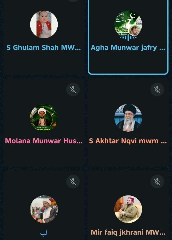ایم ڈبلیو ایم سندھ کی صوبائی کابینہ کا آنلائن اہم اجلاس؛ تنظیمی امور، شہدائے جیکب آباد کی برسی اور موجودہ سیاسی صورتحال پر تفصیلی غور