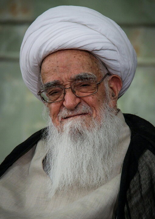 آیت‌الله العظمی صافی‌گلپایگانی