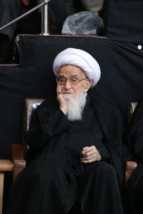 آیت‌الله العظمی صافی‌گلپایگانی