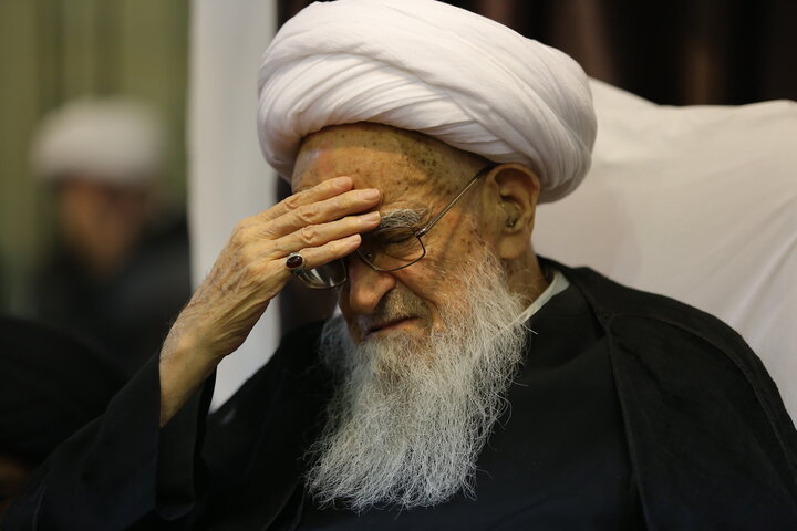 آیت‌الله العظمی صافی‌گلپایگانی