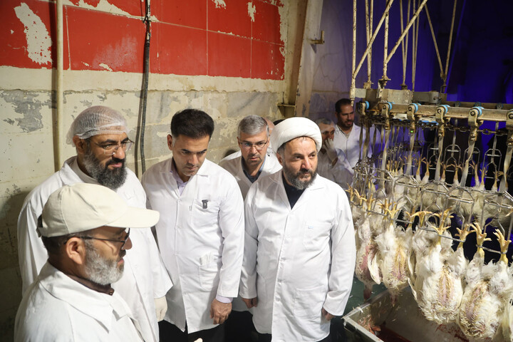 بازدید نماینده ولی فقیه در استان همدان از کشتارگاه مرغ