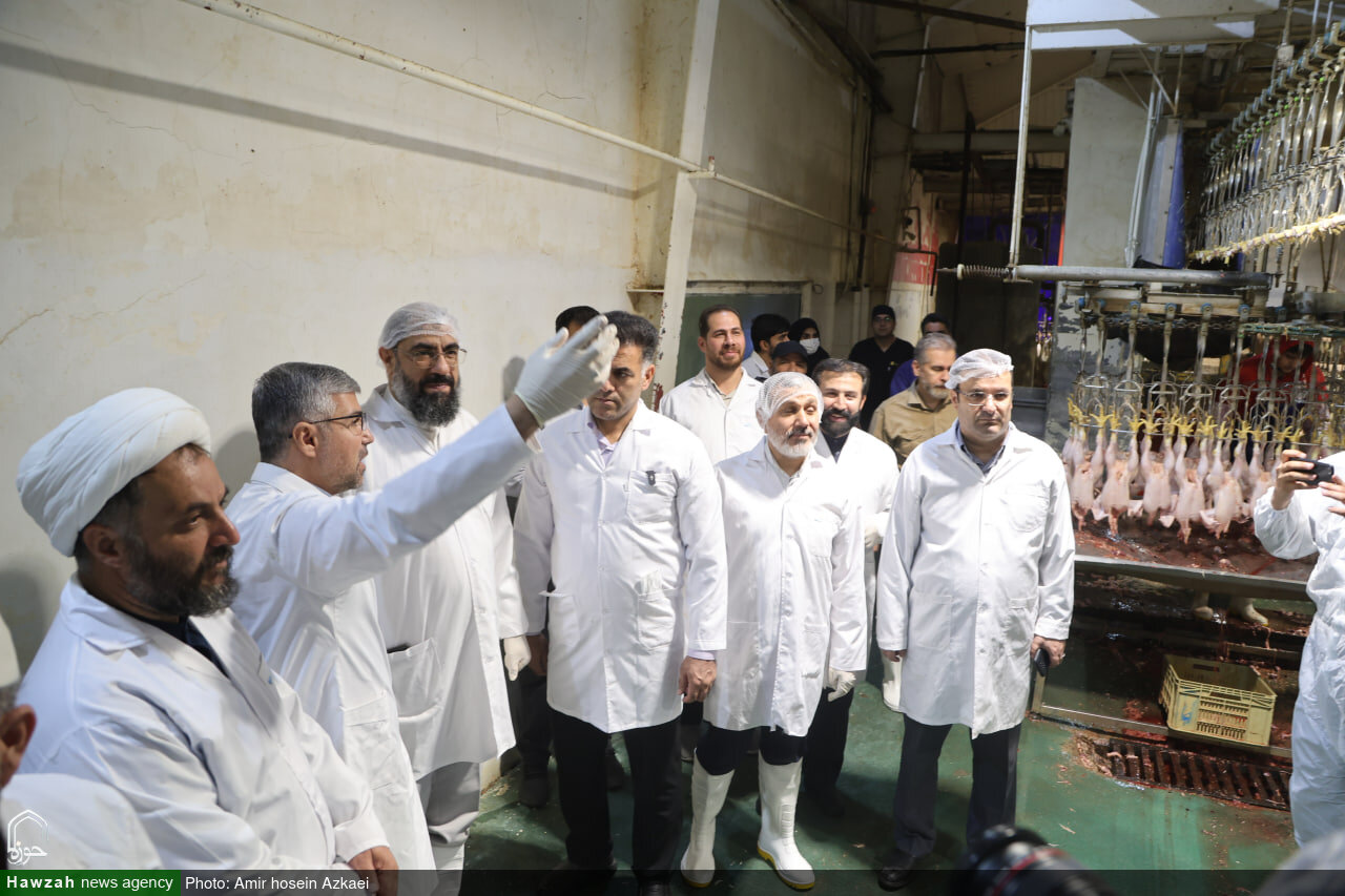 نظارت شرعی بر تولید مواد غذایی، با رزق مردم ارتباط مستقیم دارد